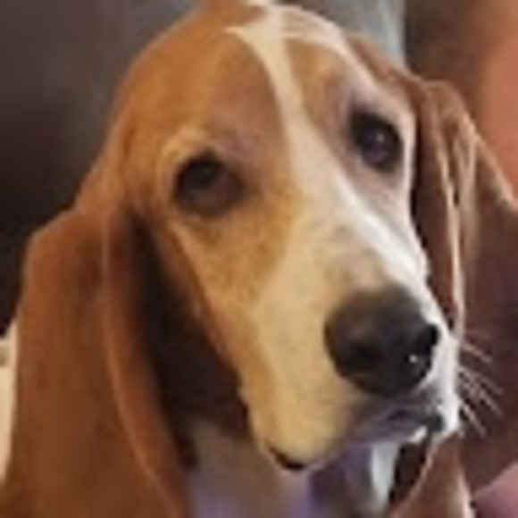 merekerr